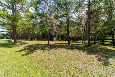 Tiny photo for 14479 NW 147th Court, Williston, FL 32696 (MLS # OM705456)