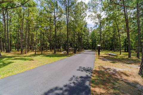 Tiny photo for 14479 NW 147th Court, Williston, FL 32696 (MLS # OM705456)