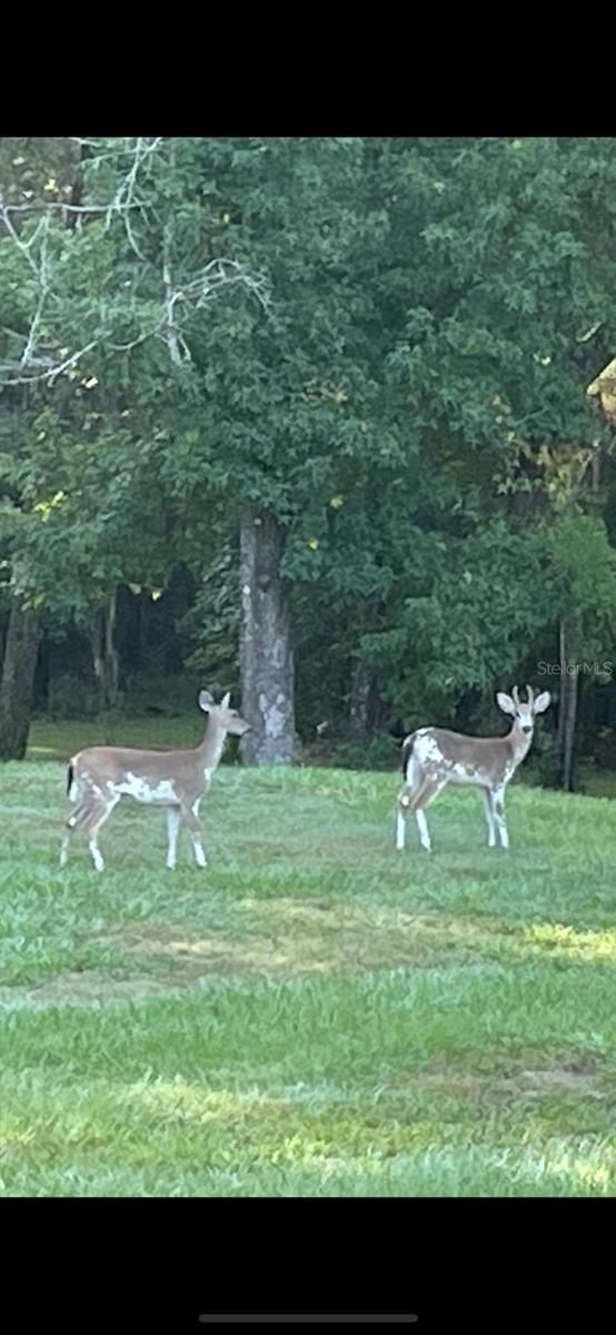THE VILLAGE AT HIDDEN LAKES - Residential