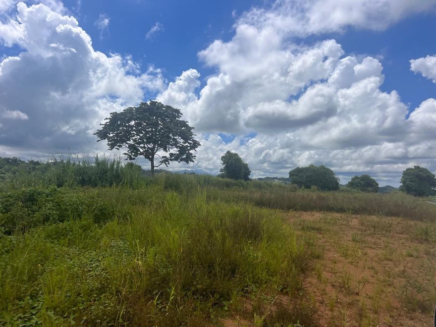 102.51 acres (402,904.86 m²) of land

Ideal for property development, with waterfall views.