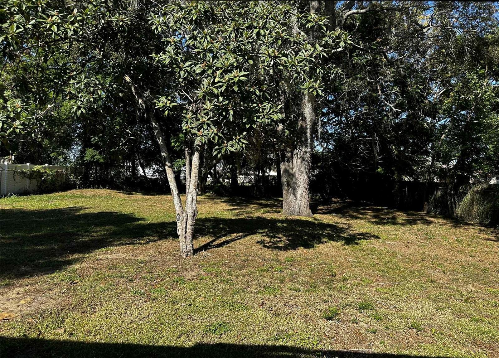 EUSTIS LYNNHURST - Residential