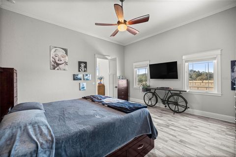 Tiny photo for 5251 SE 180th Avenue Road, Ocklawaha, FL 32179 (MLS # OM724296)