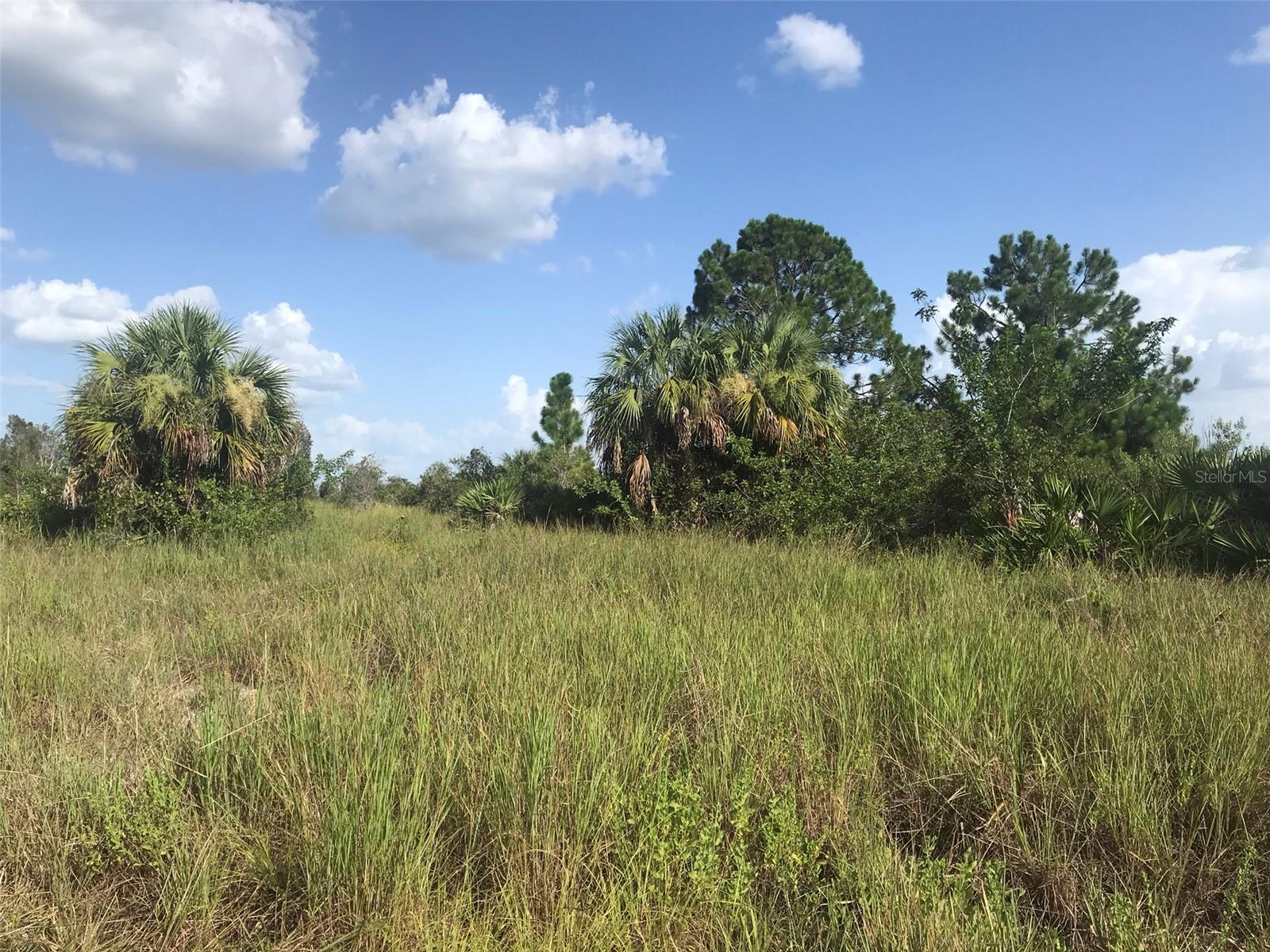 ACREAGE - Land