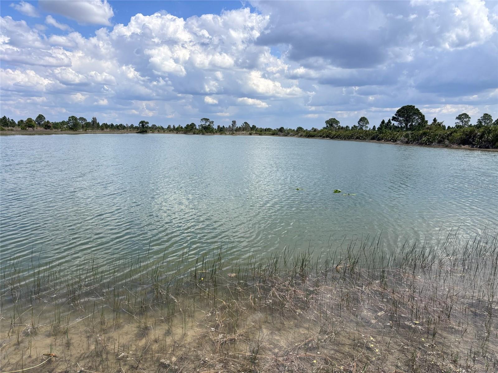 ACREAGE - Land