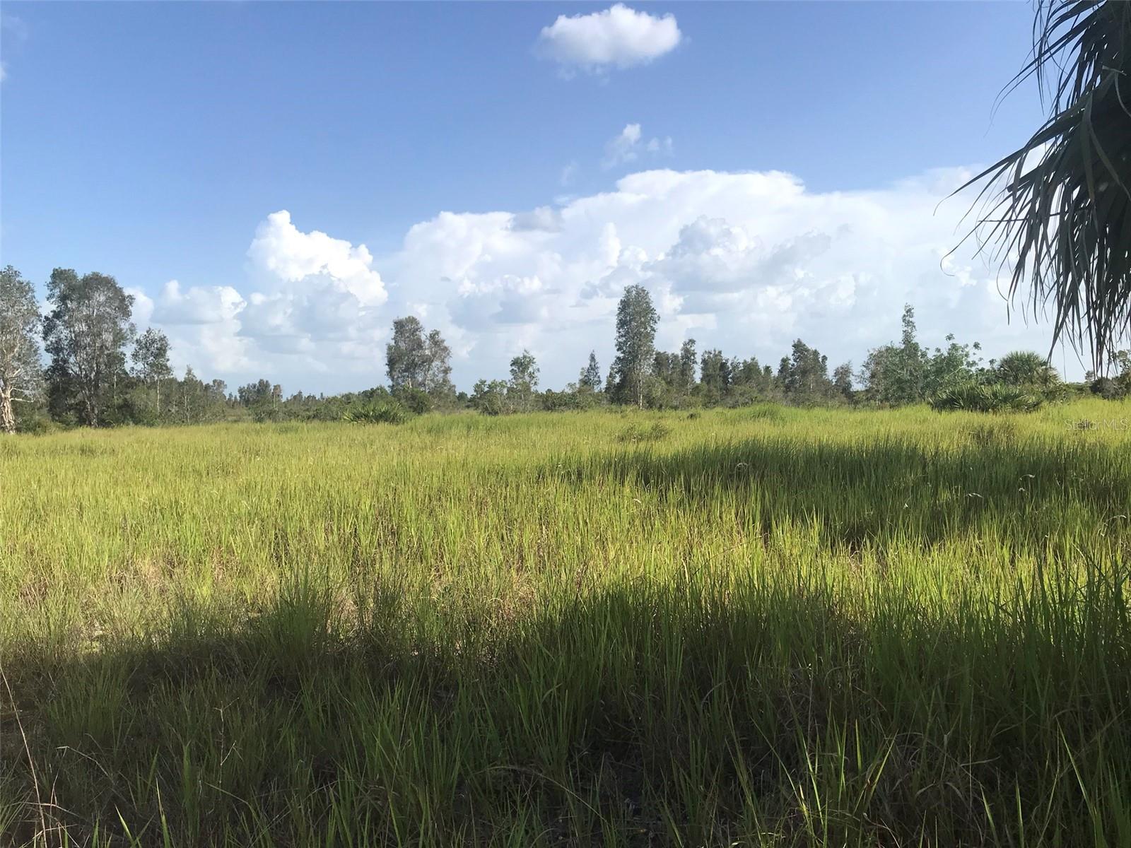 ACREAGE - Land