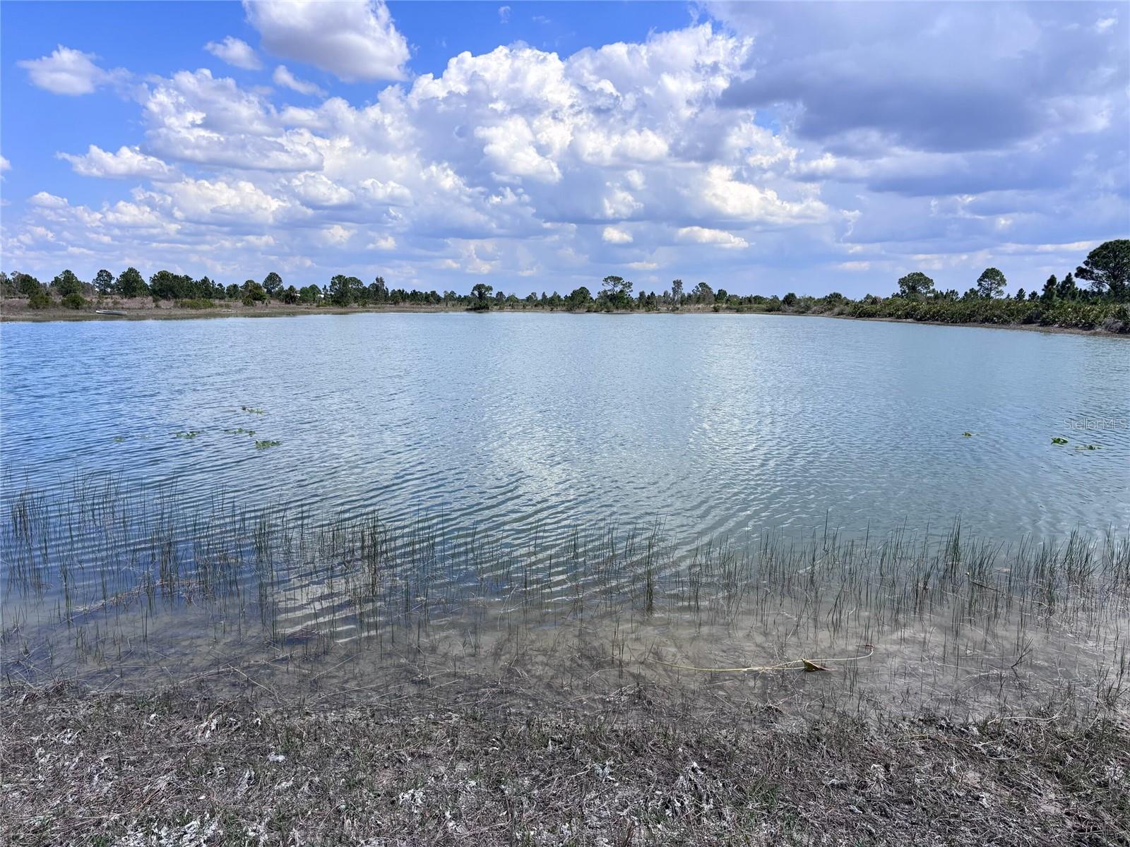 ACREAGE - Land