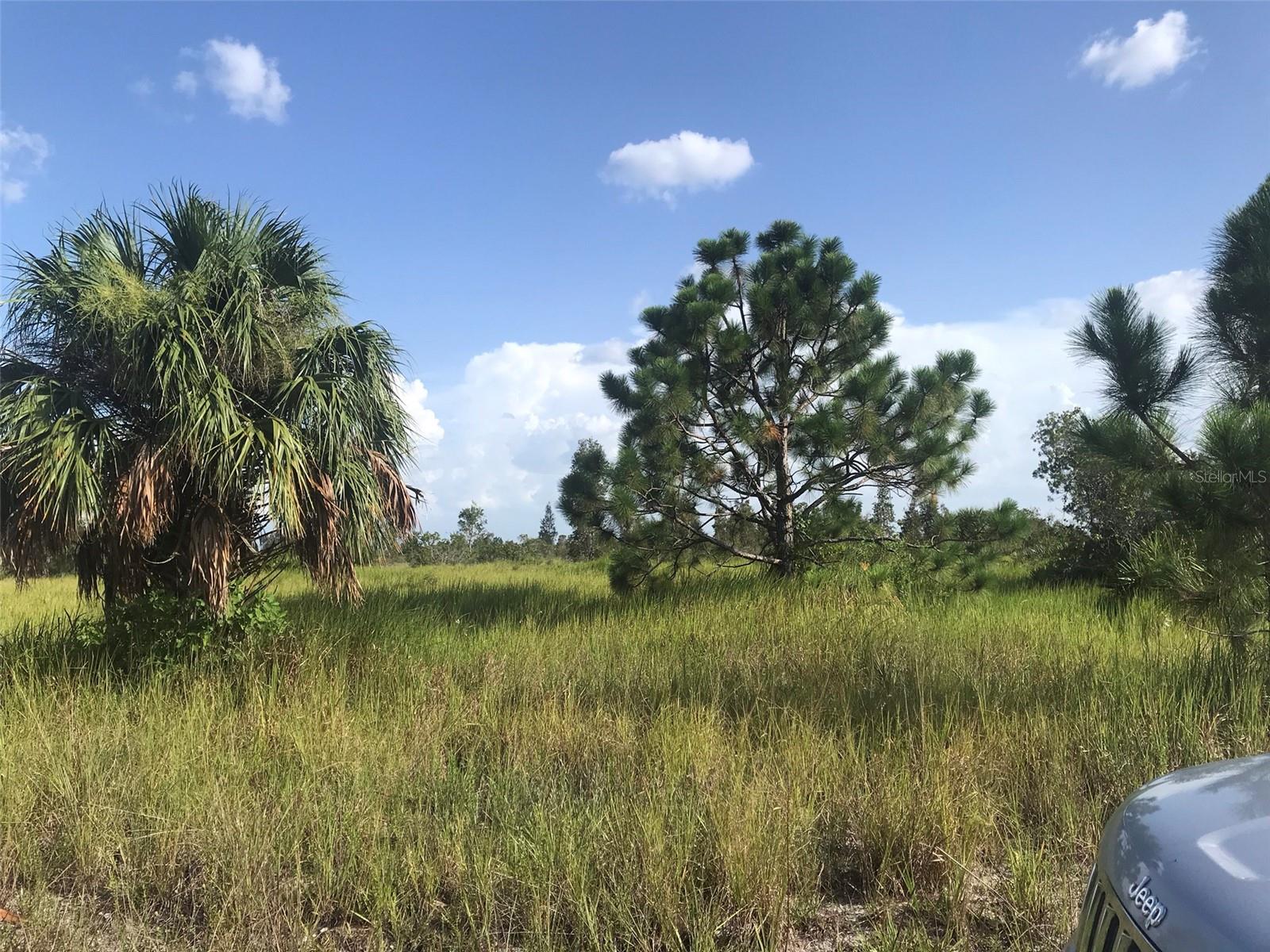 ACREAGE - Land