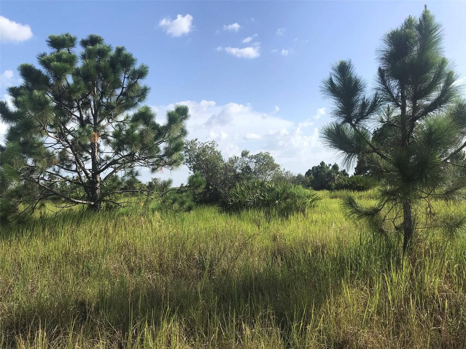 ACREAGE - Land