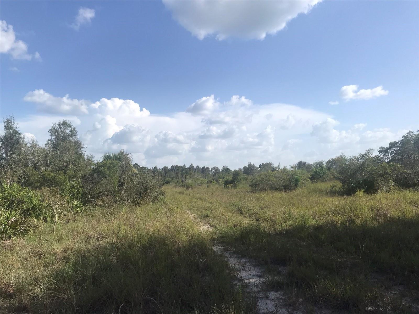 ACREAGE - Land