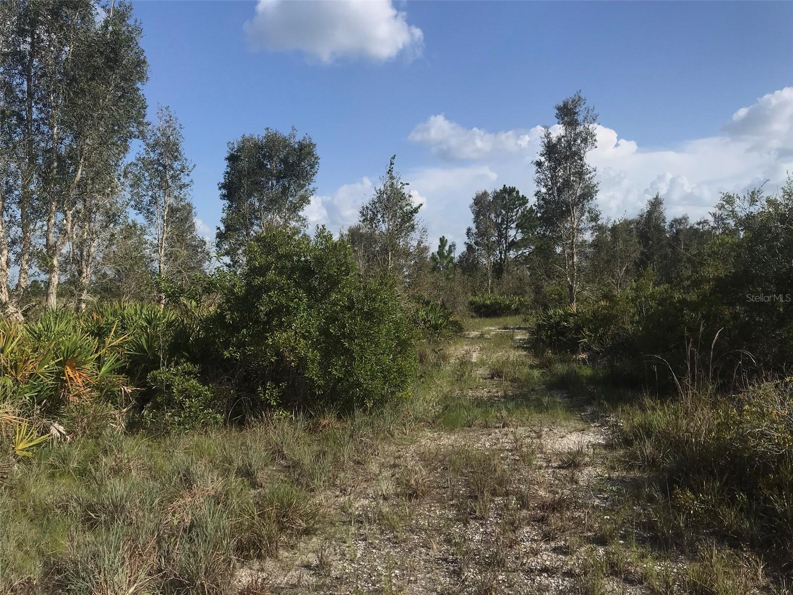 ACREAGE - Land