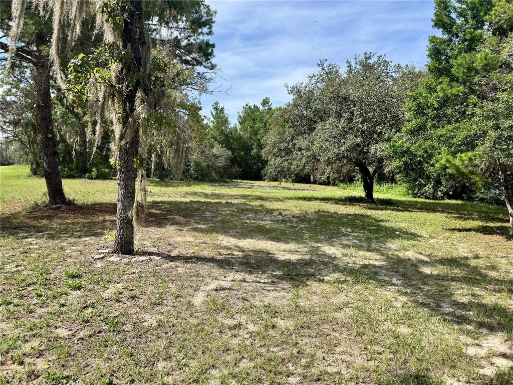 Photo of 4810 N Berwyn Terrace, Hernando, FL 34442 (MLS # A4664999)