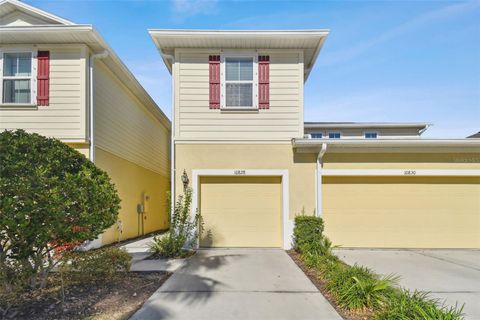 A home in RIVERVIEW