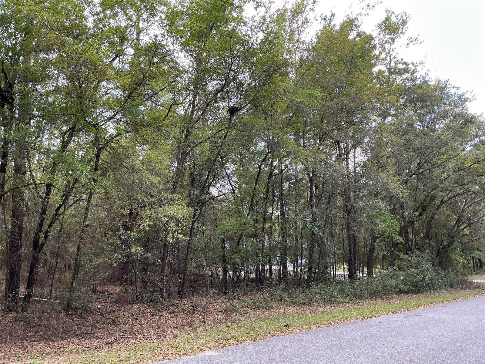 RAINBOW SPGS 04 REP - Land