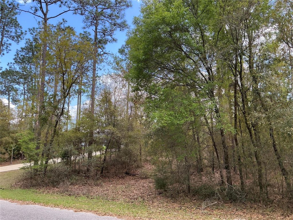 Photo of SW 208th Circle, Dunnellon, FL 34431 (MLS # OM722986)