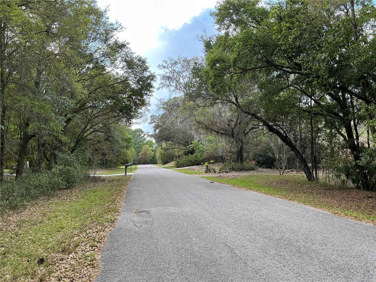 RAINBOW SPGS 04 REP - Land