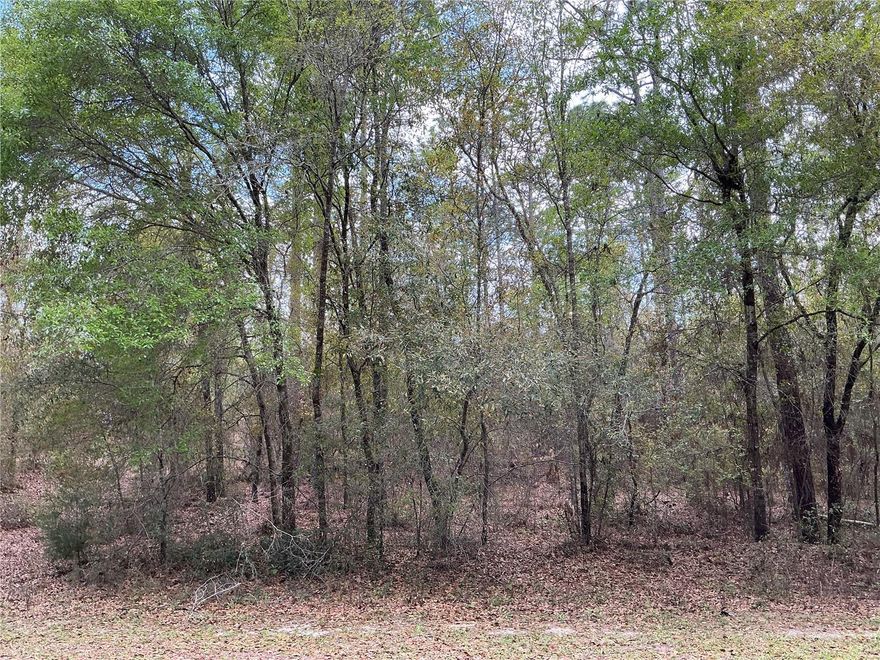 Discover the perfect opportunity to build your dream home on this 1.08-acre lot in Rainbow Springs. Situated on a paved road with available power, standard septic allowed. On a very quiet street, this property above 1 acre offers both convenience and readiness for development. Enjoy peace of mind with no wetlands, making it a clean and buildable homesite ideal for your custom residence or future investment. Surrounded by beautiful natural landscapes, mature trees, and well-kept homes, the area provides a peaceful and private setting while still being part of a growing community. Located near the world-famous Rainbow Springs State Park, you’ll have easy access to crystal-clear springs, kayaking, nature trails, and outdoor recreation. Plus, you're just a short drive to nearby shopping, dining, and everyday conveniences. Whether you're ready to build now or invest in land in a highly desirable area, this property offers space, location, and value in one of Florida’s most scenic regions. Don’t miss out on this exceptional opportunity!