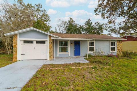 A home in LAND O LAKES