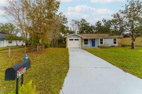 A home in LAND O LAKES