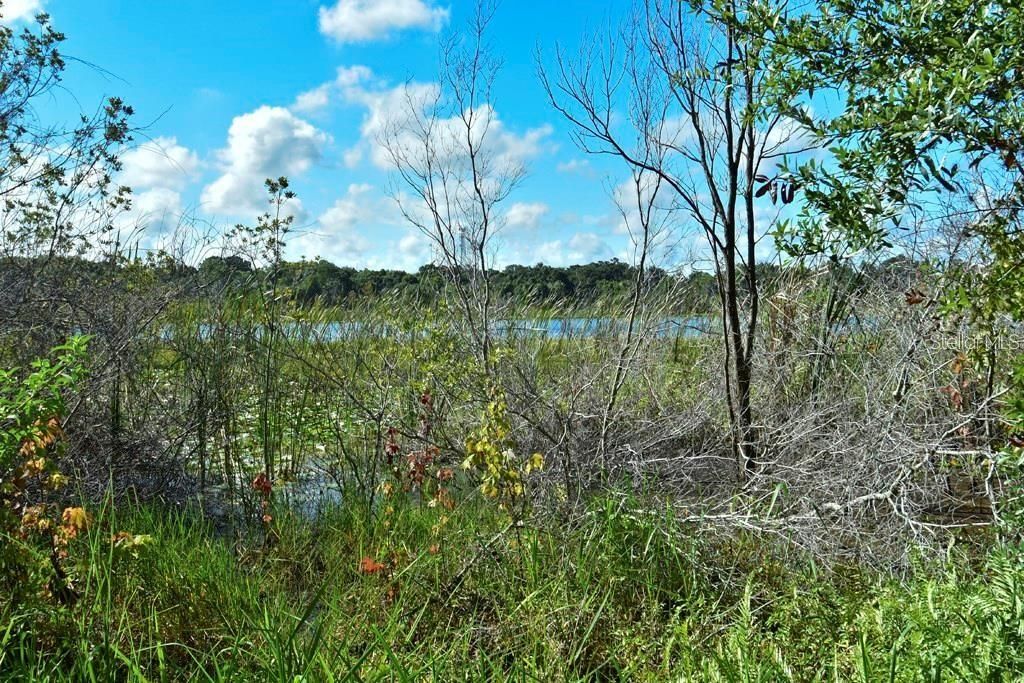 Photo of 5513 674 Highway, Wimauma, FL 33598 (MLS # TB8471239)