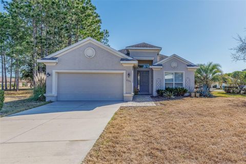 Photo of 2291 N Mia Point, Lecanto, FL 34461 (MLS # OM717464)
