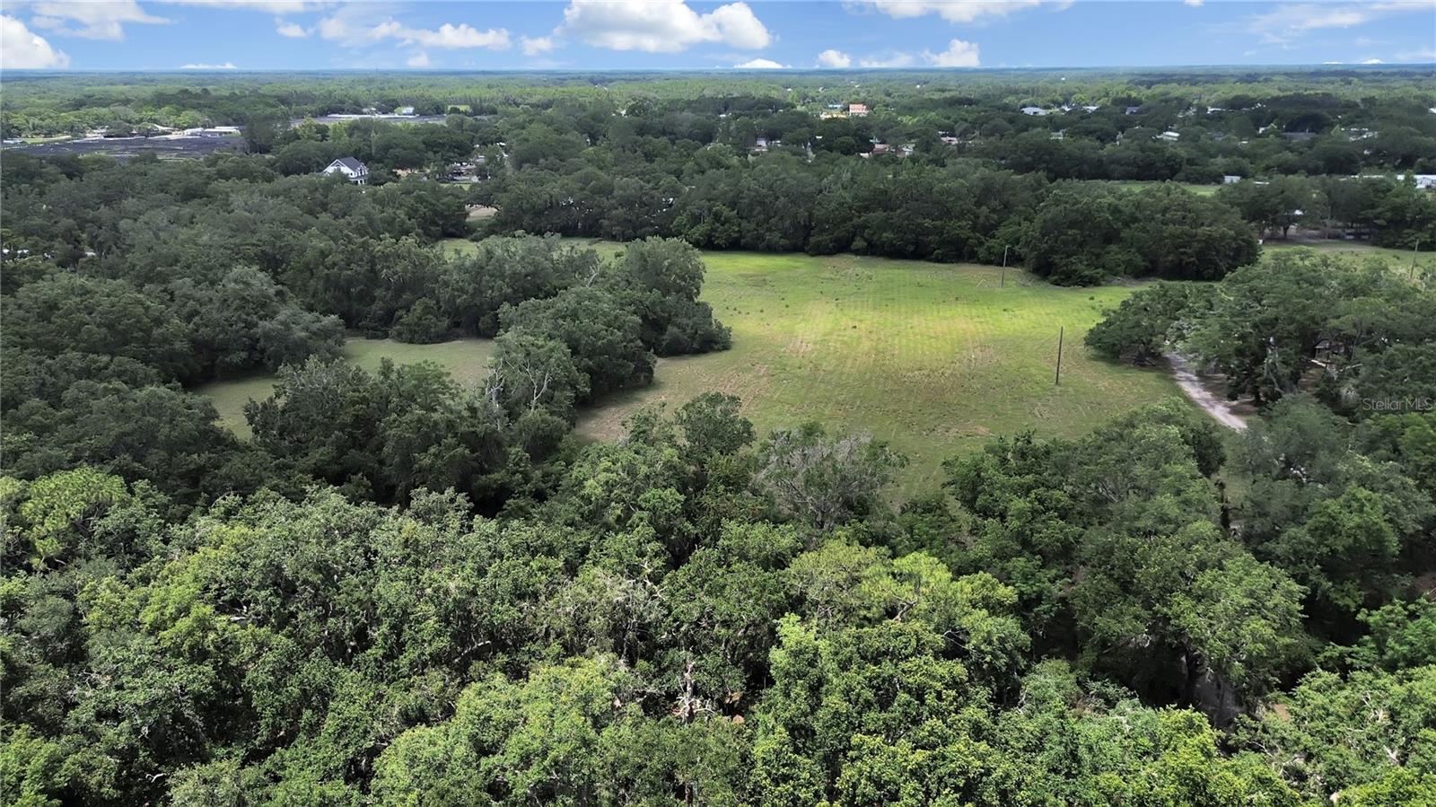 6416 THONOTOSASSA RD