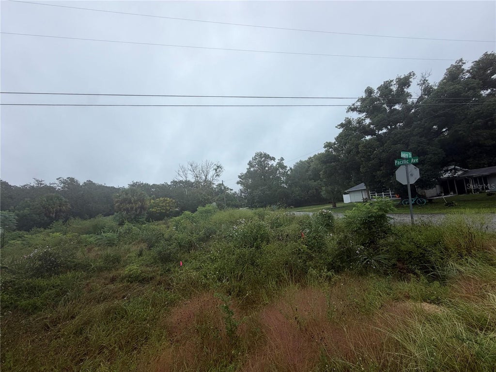 Photo of 5180 Pacific Avenue, Weeki Wachee, FL 34607 (MLS # W7890198)
