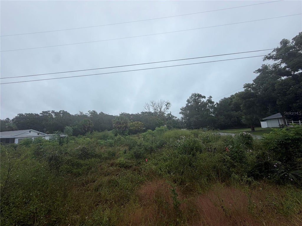 Photo of 5180 Pacific Avenue, Weeki Wachee, FL 34607 (MLS # W7890198)