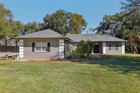 A home in MOUNT DORA