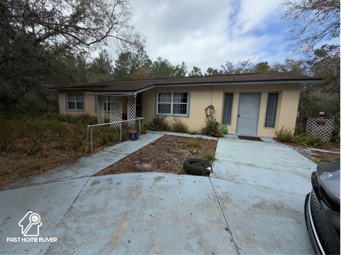 Photo of 47137 Far West Avenue, Paisley, FL 32767 (MLS # A4687118)
