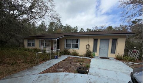 47137 FAR WEST AVENUE PAISLEY FL 32767