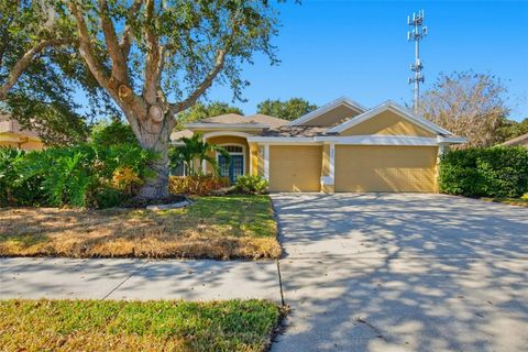 Photo of 342 Mane Court, Tarpon Springs, FL 34688 (MLS # O6342031)