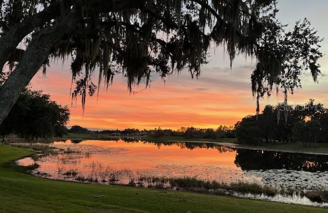 DEL WEBB ORLANDO, RIDGEWOOD LAKES VILLAGE 9 - Residential