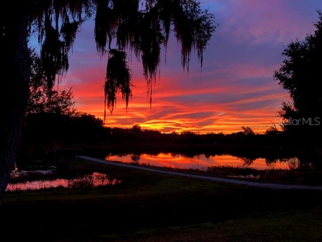 DEL WEBB ORLANDO, RIDGEWOOD LAKES VILLAGE 9 - Residential