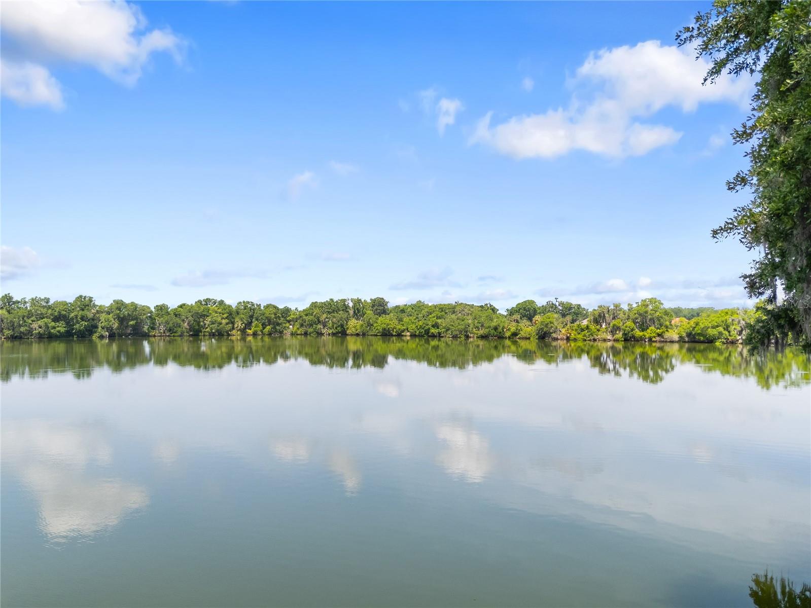 RESERVE AT FAIRWAY OAKS - Residential