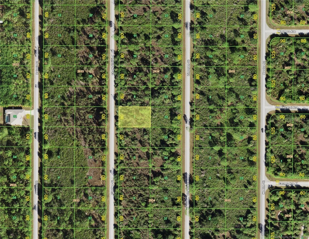 Photo of 2136 Chaffee Street, Port Charlotte, FL 33953 (MLS # C7532335)