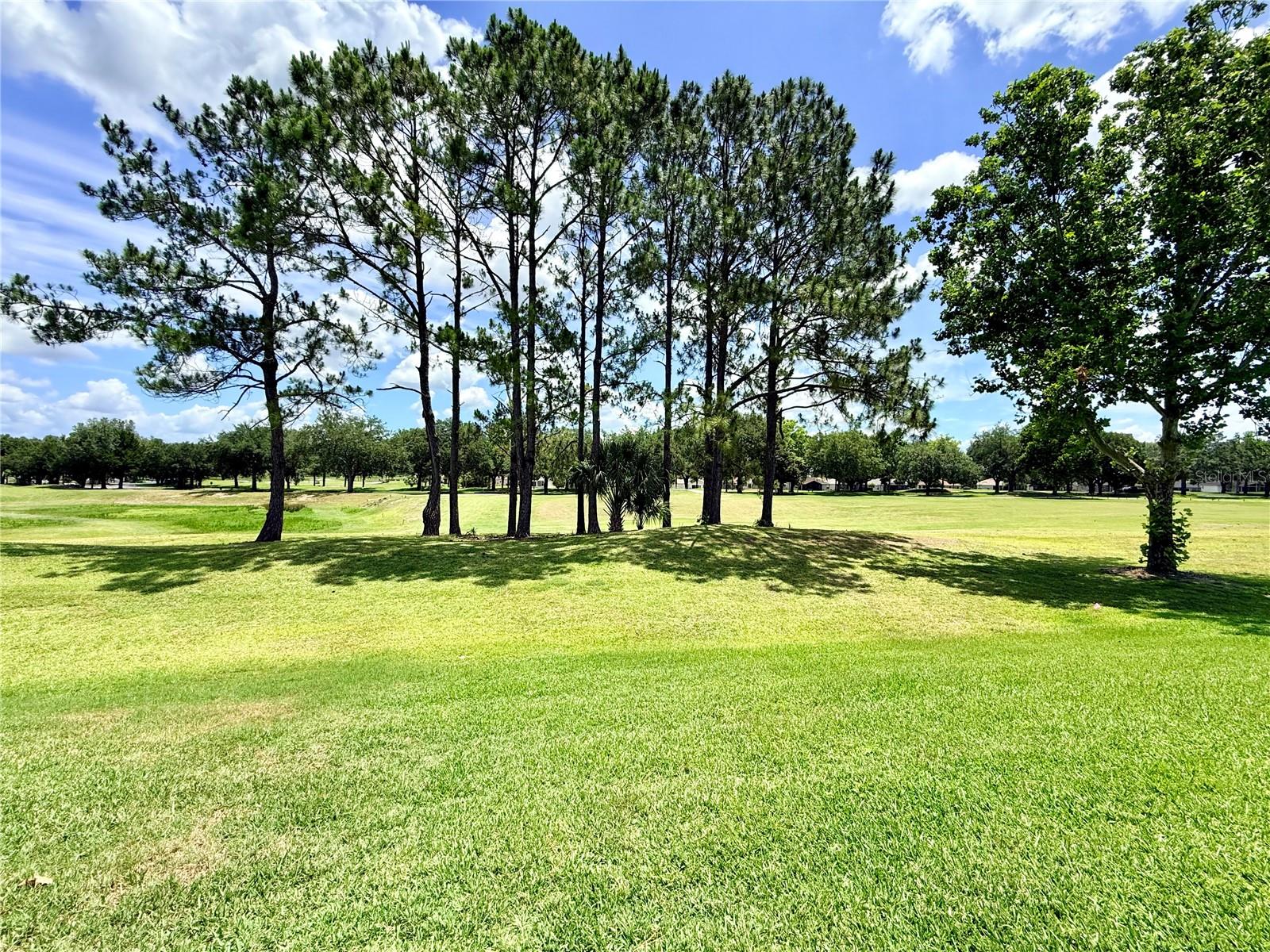 SUMMERGLEN - Residential