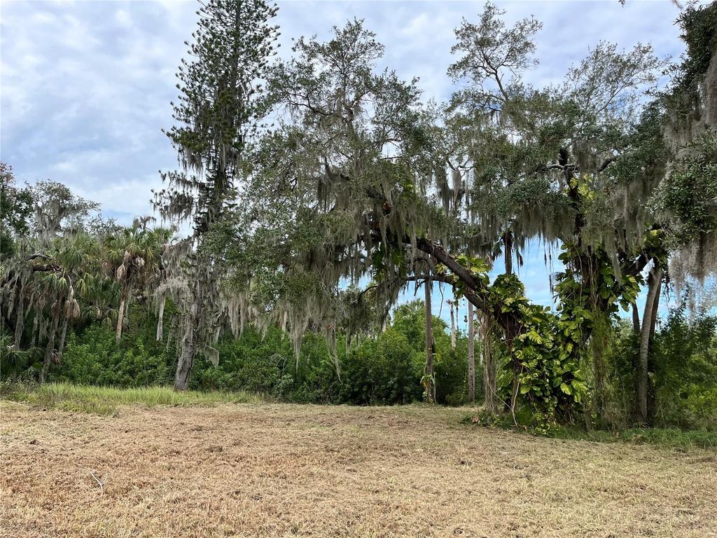 Photo of 6715 16th Avenue E, Palmetto, FL 34221 (MLS # TB8494973)