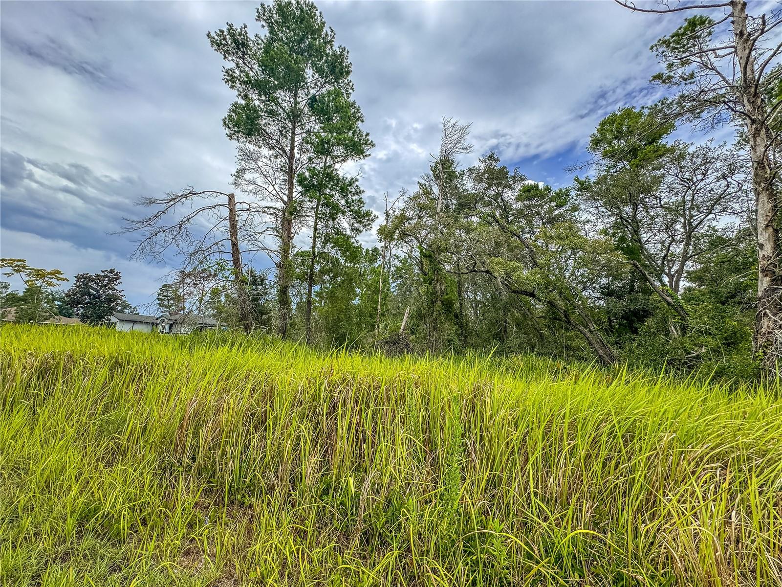 ROYAL HIGHLANDS - Land