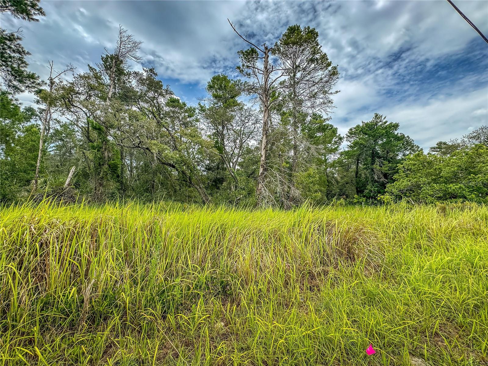 ROYAL HIGHLANDS - Land