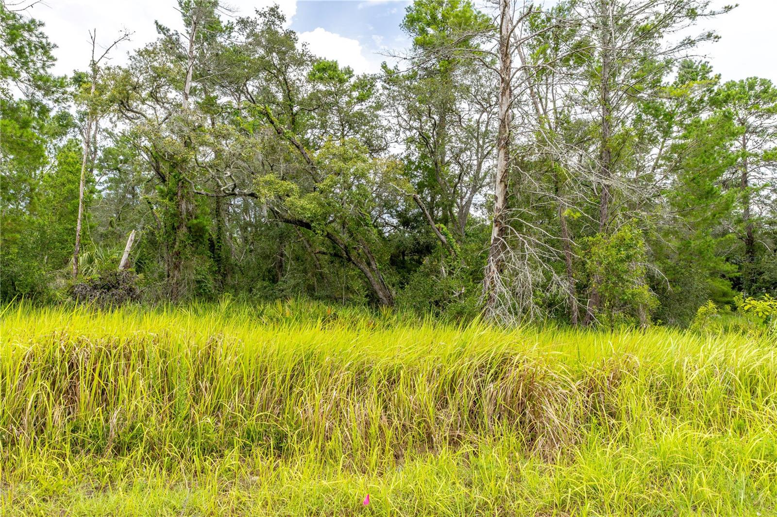 ROYAL HIGHLANDS - Land