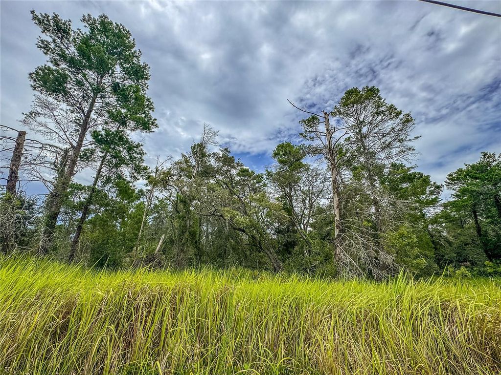 Photo of 0 Bahama Swallow Avenue #9, Weeki Wachee, FL 34613 (MLS # W7880064)
