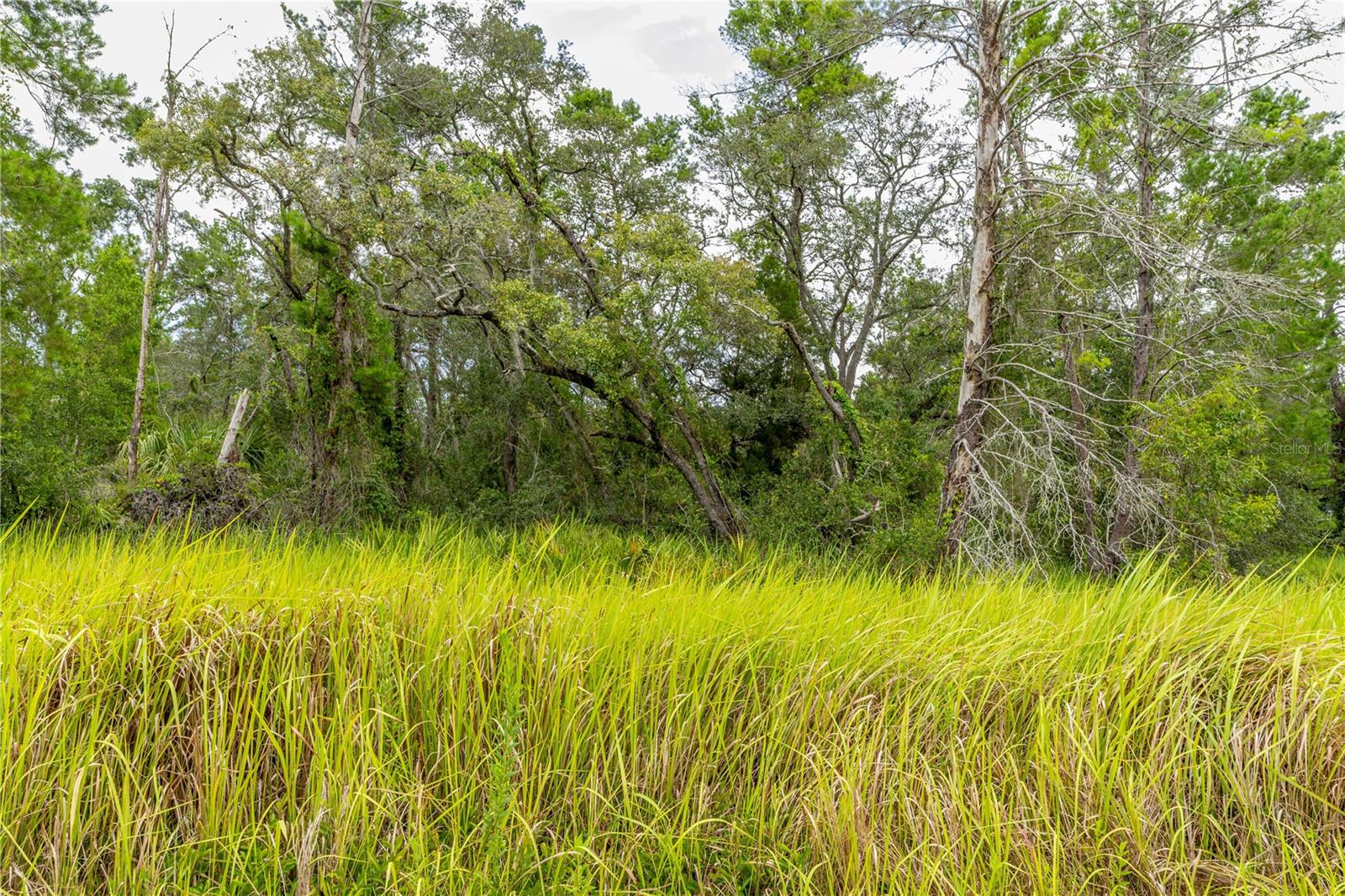 ROYAL HIGHLANDS - Land