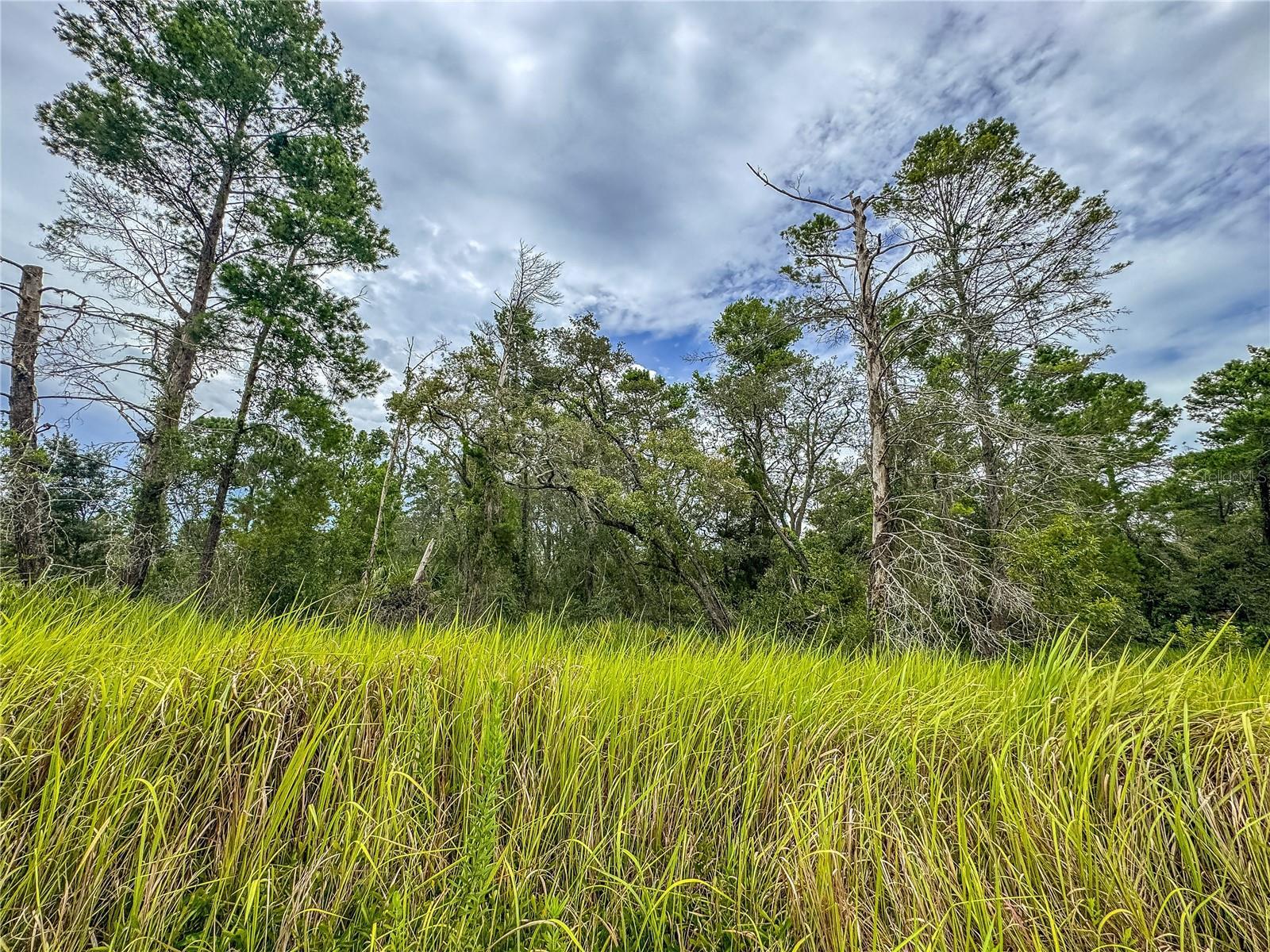 ROYAL HIGHLANDS - Land