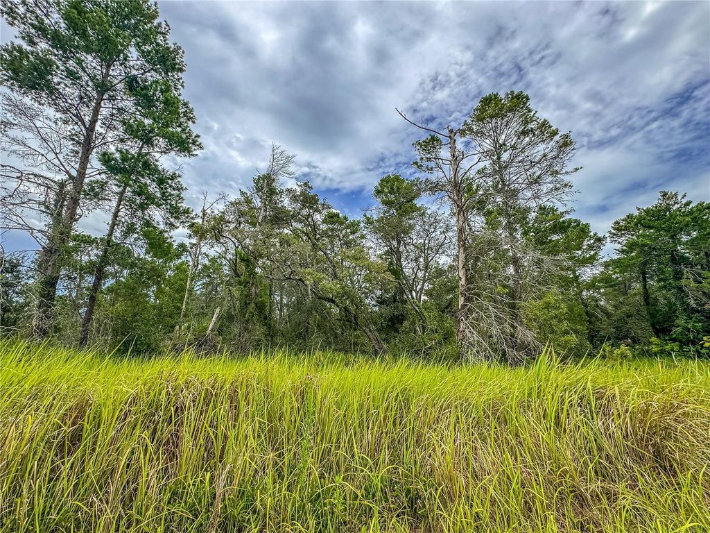 Photo of 0 Bahama Swallow Avenue #9, Weeki Wachee, FL 34613 (MLS # W7880064)