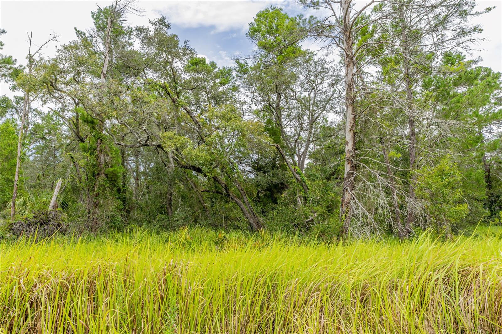 ROYAL HIGHLANDS - Land