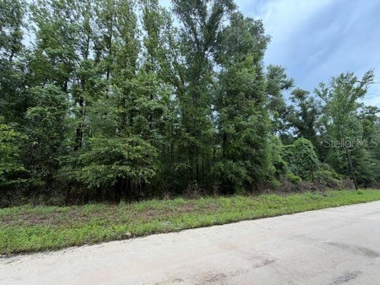 NE 312TH AVE, OLD TOWN, FL 32680 - Image 85c263ce7b6139ac8d2d5a49cff68aec/2657162779