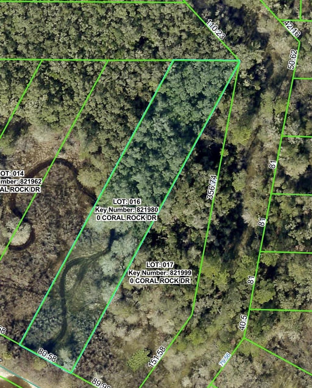 Photo of 34063 Coral Rock Drive, Webster, FL 33597 (MLS # W7879523)