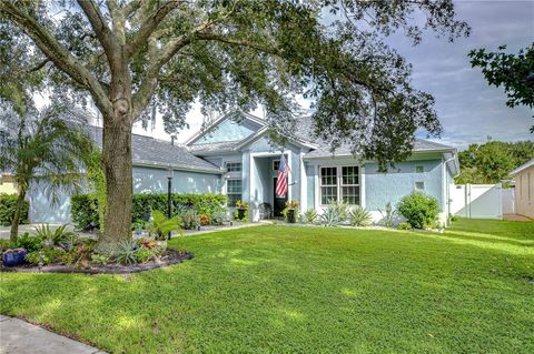 A home in RIVERVIEW