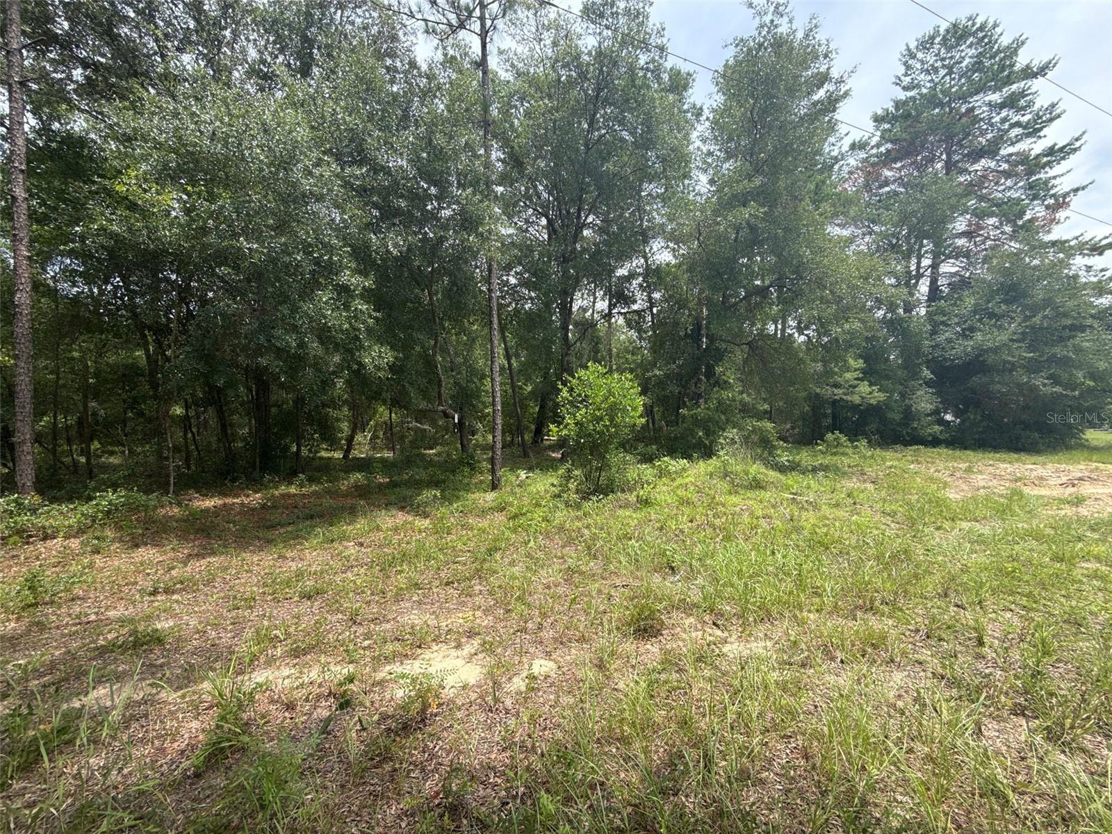 MIRROR LAKE BEACHES - Land