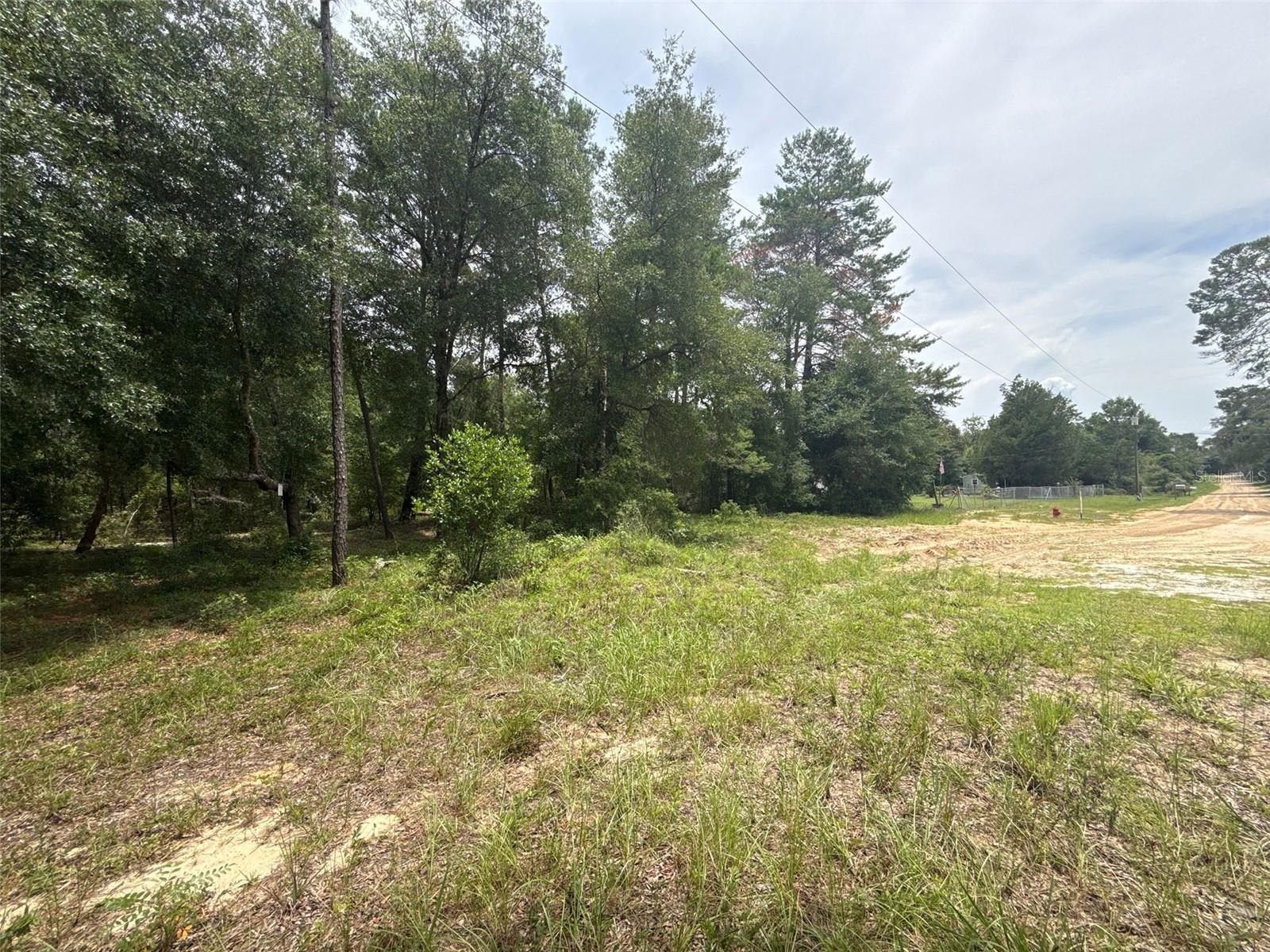 MIRROR LAKE BEACHES - Land